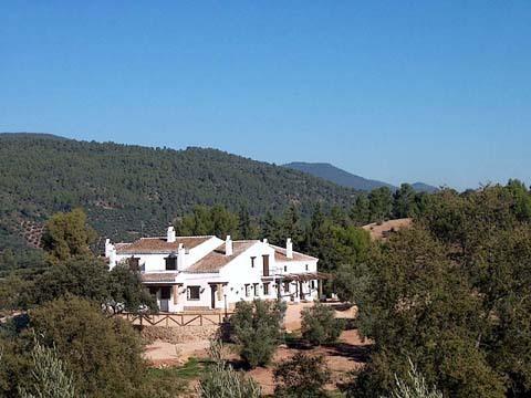 Casas Rurales La Loma Del Carrascal 奥尔诺斯 外观 照片