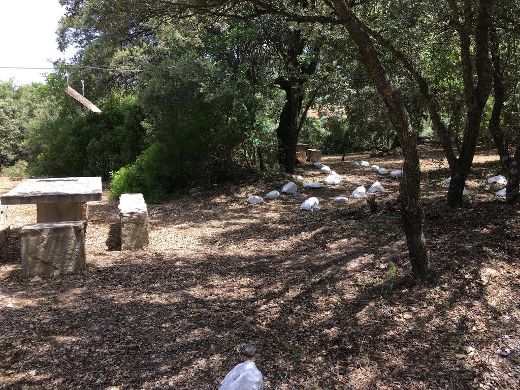 Casas Rurales La Loma Del Carrascal 奥尔诺斯 外观 照片