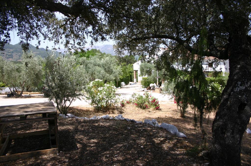 Casas Rurales La Loma Del Carrascal 奥尔诺斯 外观 照片