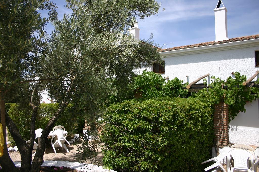 Casas Rurales La Loma Del Carrascal 奥尔诺斯 外观 照片