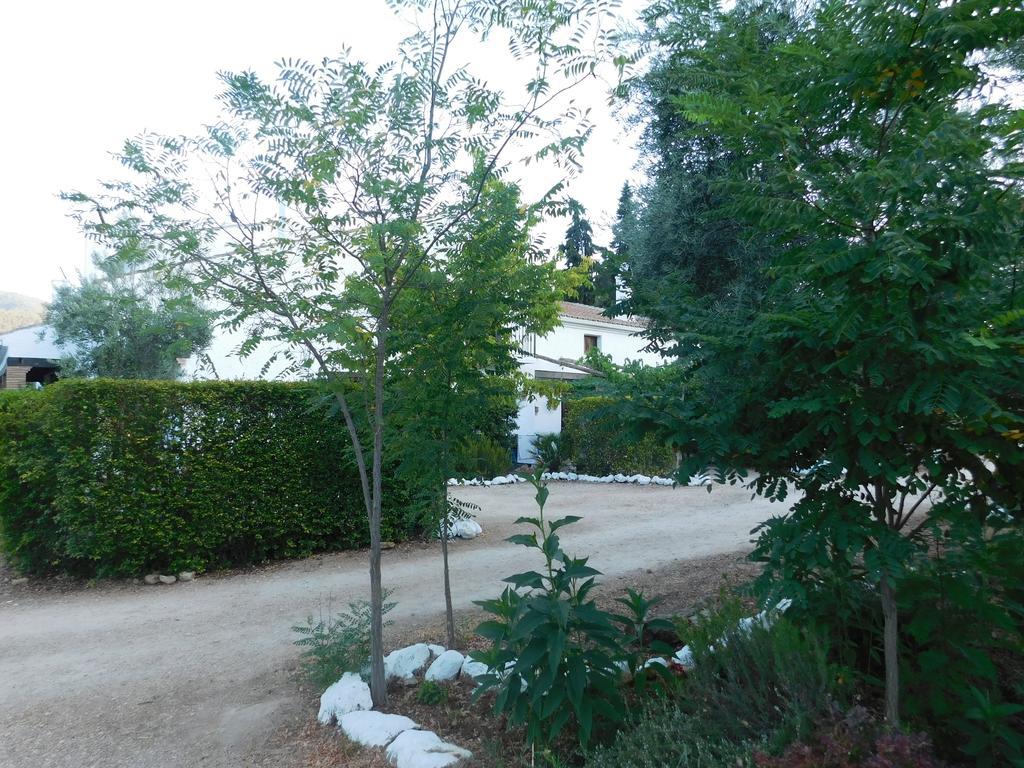 Casas Rurales La Loma Del Carrascal 奥尔诺斯 外观 照片